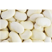 Large White Kidney Beans White Kidney Beans Wholesale