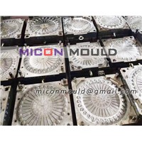 Plastic Disposable Injection Cutlery Mould
