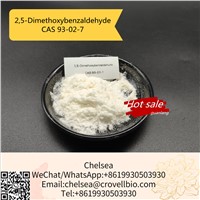 Chinese Suppliers 2,5-Dimethoxybenzaldehyde Price CAS 93-02-7 Factory.