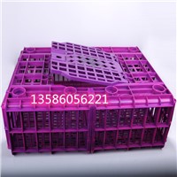 High Quality Mold Packaging Lunch Box Mold Manufacturer 8613586056221