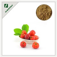 High Quality Acerola Cherry Extract Powder