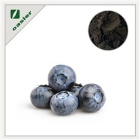 Bilberry Extract Powder Manufacturer