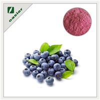 Blueberry Extract Powder Manufacture Wholesale