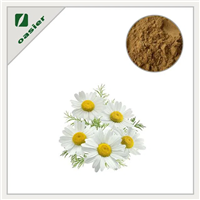 Chamomile Extract Powder 5% Light Yellow Powder
