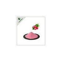 Cranberry Extract Powder Manufacturer