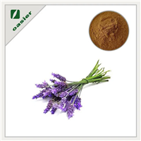 Lavender Extract Powder 3% Brown Fine Powder