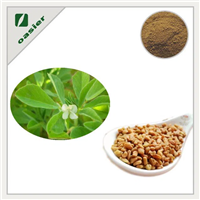 Product Name: Fenugreek Extract Powder.