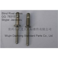 Dia. 3/16 - 1/4 Stainless Steel Blind Rivet for Automotive &amp; Roof Construction Industry