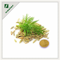 Product Name: Fennel Fruit Extract.