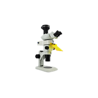 Stereo-Fluorescence Microscope MZX81