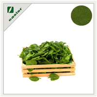 Organic Spinach Exrtact Powder