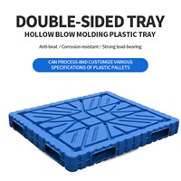 Can Process Customized Plastic Trays of Various Specifications