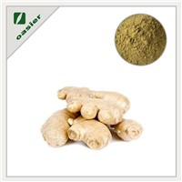 High Quality Ginger Extract from China