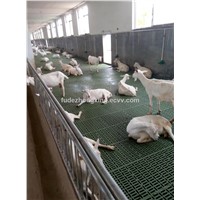 Double-Reinforced Thickened Plastic Manure Leakage Floor For Sheep Breeding