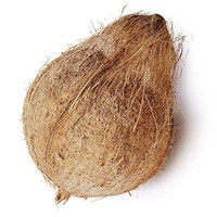 Coconut De Husked &amp;amp; Semi Husked from Indonesia with Best Quality