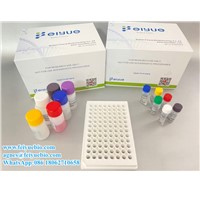 Supply ELISA Kits, Antibodies, Cells for Biotech Research