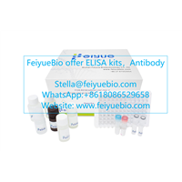 Feiyuebio as a Manufacturer of ELISA Kits, Antibodies, Proteins, Cell &amp;amp; Related Reagents with the Best Products