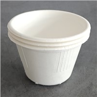 4oz Bagasse Sugarcane Biodegradable Disposable Takeout Sauce Cup