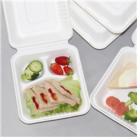 3 Compartment 9 Inch Biodegradable Sugarcane Bagasse Fiber Paper Clamshell Takeaway Food Packaging Box Container