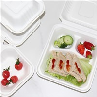 8Inch Compostable Bamboo Pulp Molding Food Container Takeaway Clamshell Sugarcane Bagasse Paper Packaging