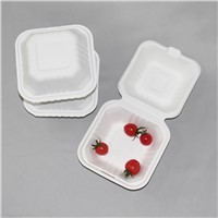 6 Inch Biodegradable Burger Box Fast Food Takeout Sugarcane Bagasse Clamshell Disposable Packaging Lunch Box