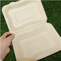 9x6 Inch Disposable Fruit Salad Packaging Storage Lunch Box Sugarcane Bagasse Compostable Biodegradable Food Contain