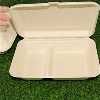 9*6 Inches 2 Compartment Eco-Friendly Packaging Disposable Lunch Box SugarcaneBagasse Food Container
