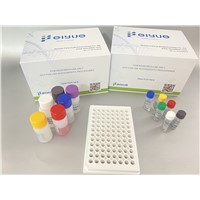 Human PD-1/PDCD1(Programmed Cell Death Protein 1) ELISA Kit