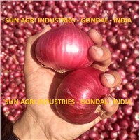 Onion Exporter from India, Used for Food