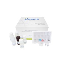 Mouse IL-8(Interleukin 8) ELISA Kit