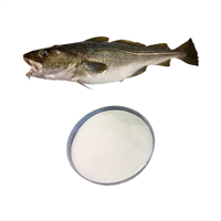 Anti-Aging Healthy Food Fish Collagen Supplements Powder Fish Collagen