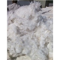 Indian Origin of Raw Cotton V797