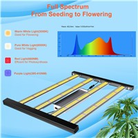 Factory Cheap Price LM301B 310W LED Grow Light Strip with Knob Switch Full Spectrum Dimmable Plant Grow Light for Plant