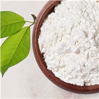 Halal Raw Material Vegan Hcl Sulphate Glucosamine Chondroitin Msm Powder Bulk Comfort Joint Suppleme