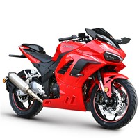 Racing Motorcycle RZM250H-15Bused 150cc & 200cc & 250cc Or 400cc Engines