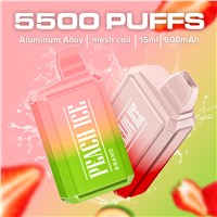 15ml 5000puffs Powerful Mesh Coil Box Disposable Pod with Type-C Charging Port