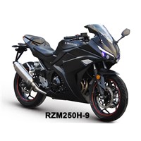 Racing Motorcycle RZM250H-9 Used 150cc & 200cc & 250cc Or 400cc Engines
