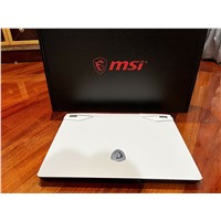 MSI GE66 Raider Gaming Laptop RTX 3080, Core I9, 32 GB RAM, 2TB