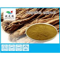 Angelica Root Extract Dong Quai Root Powder