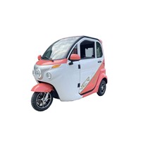 Electric Tricycle Small Vehicle Large Space Safe Electric Scooter 2022 New Tricycle for Adult FST-V9