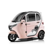 Electric Tricycle Small Vehicle Large Space Safe Electric Scooter 2022 New Tricycle for Adult FST-V6