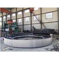 Rotary Kiln Ring Gear Customized for Cement Plant