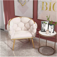 Nordic Single Sofa Living Room Light Luxury Leisure Chair Ins Creative Nail Shop Waiting Armchair Bedroom Soft Dressing