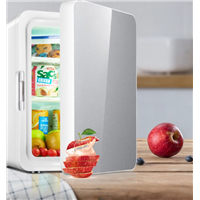 10L Car Mounted Mini Refrigerator Refrigerated Dormitory Small Household Cosmetics Mini Refrigerator Fresh Keeping 12V/2