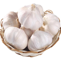Best Price &amp;amp; High Quality Fresh Pure White Garlic Wholesale from China Farm