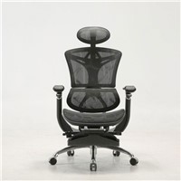 Sihoo M97B High Back Mesh Ergonomi Chair with Comfortable Headrest &amp;amp; Back Support