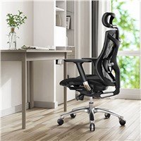 Sihoo V1 Ergonomic Comfortable &amp;amp; Stylish Adjustable Recliner Executive Office Chair