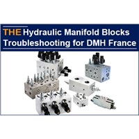 Hydraulic Manifold Blocks Troubleshooting for DMH France