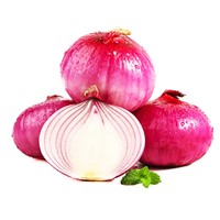 Best Price & Quality Yellow & Red Onion Wholesale China Supplier