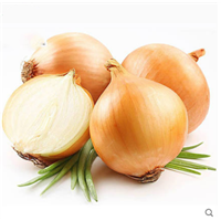 Direct Farm Selling most Fresh Non Polluted Onion from Shandong Chengda China